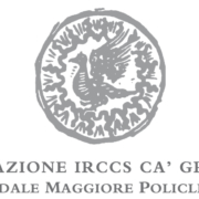 fondazione irccs